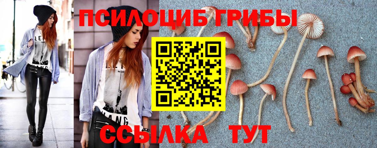 Псилоцибиновые грибы Magic Shrooms  Галлюциногенные грибы Psilocybe  как найти наркотики  Северск  Вход с VPN 